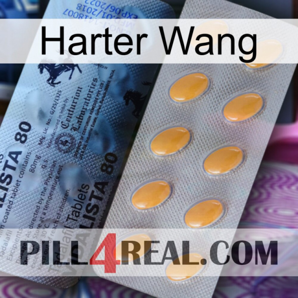Hard Wang 44